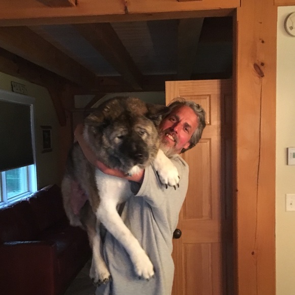 Meet your Posher, Shauna - Picture 5 of 8